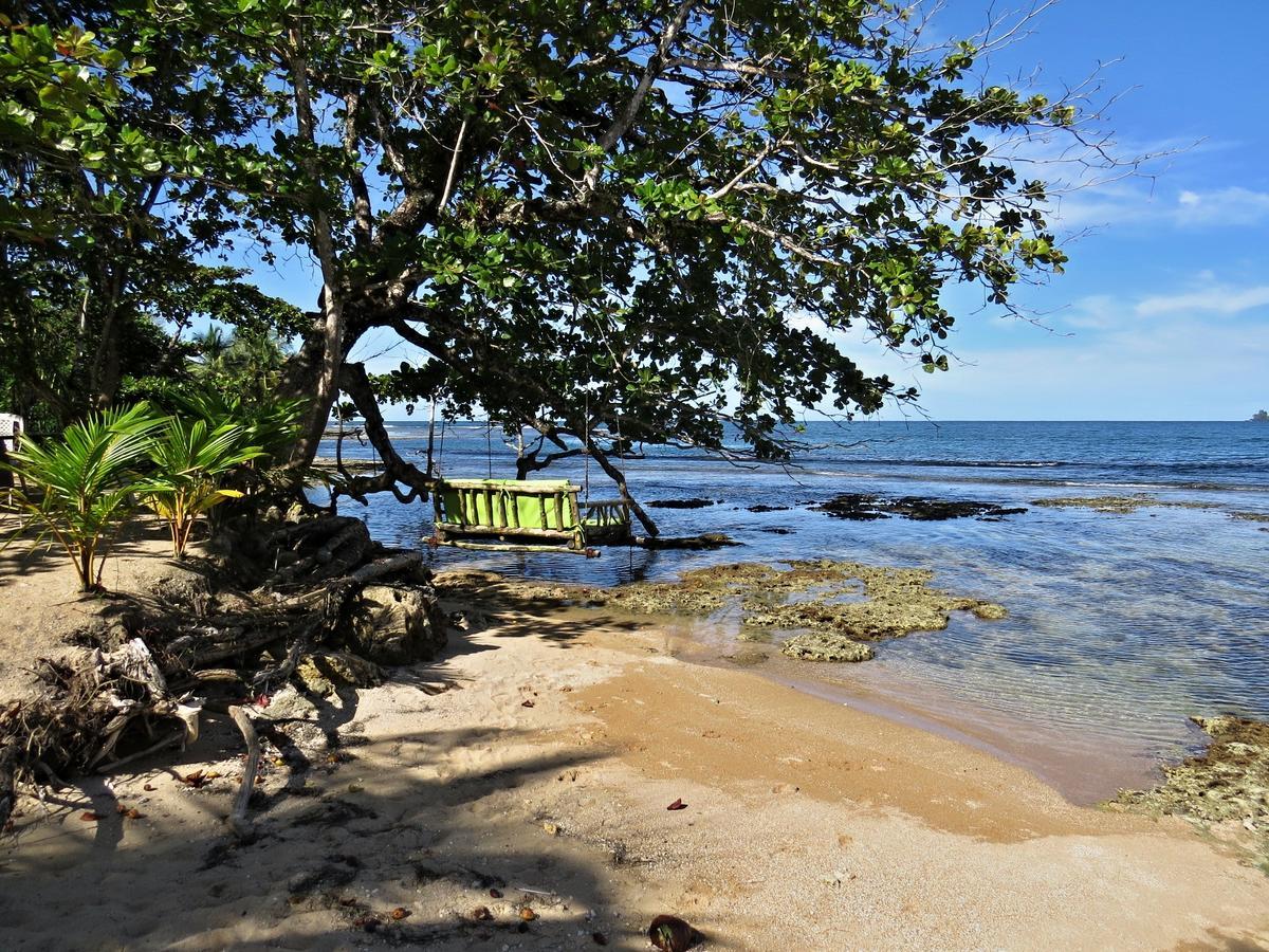Alojamento de Turismo Selvagem Skully's House